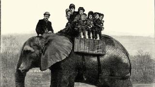 La trágica vida de Jumbo, el elefante que inspiró a Dumbo de Disney