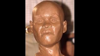 Bomberos habrían recuperado cráneo de Luzia entre restos del Museo Nacional de Brasil