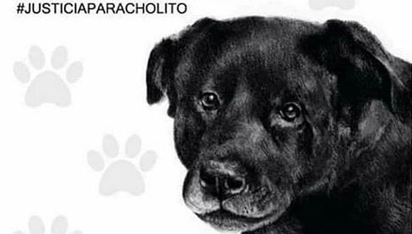 Chile se levanta por la golpiza que le dieron a un perro