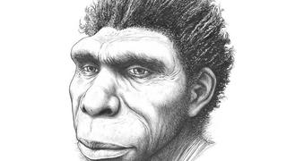 Científicos identifican al ‘Homo bodoensis’, el nuevo ancestro humano del Pleistoceno