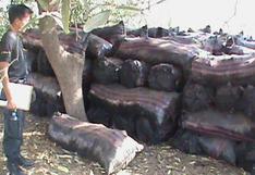 Detienen a camión que transportaba ilegalmente 15 toneladas de carbón en Lambayeque