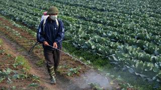Minagri prohíbe la importación y registro del herbicida Paraquat por ser tóxico