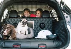 Los perros prefieren viajar en vehículos eléctricos para no sentirse enfermos: ¿por qué?