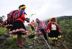 El sueño que se expandió en los Andes: la lucha del biólogo Constantino Aucca por salvar los bosques altoandinos