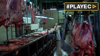Argentina podrá volver a exportar carne a EE.UU. [VIDEO]