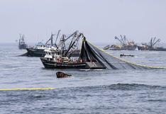 Scotiabank: Pesca de anchoveta en el 2017 sería la mejor en cuatro años