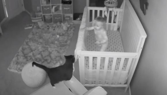 La gata fue a la habitación del bebé para poder ‘conversar’ con él. La escena ha sorprendido a miles de usuarios. (Foto: ViralHog / YouTube)