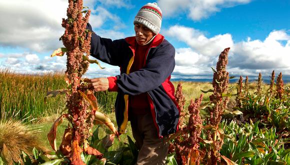 El 97% de las unidades agropecuarias son familiares. (Foto: GEC)