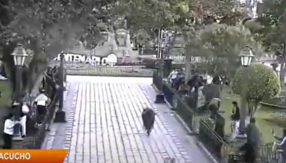 Un toro se escapó de una fiesta patronal y generó pánico en los transeúntes. Esto ocurrió en la ciudad de Huamanga, en Ayacucho | Foto: Captura de video