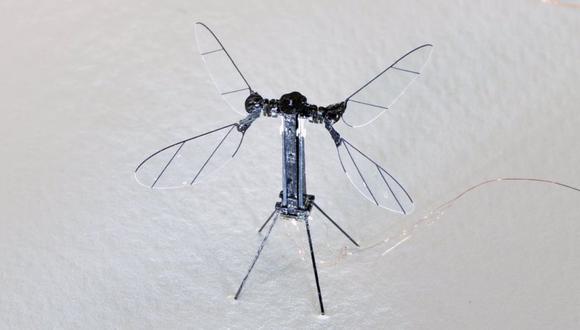 Según comprobaron, la eficiencia de empuje de ese robot iguala la de los insectos de tamaño similar. (Foto: Nature)