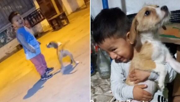 Niño juega con el perrito abandonado en la calle. Cuando se enteró que sería su nueva mascota, lo abrazó de felicidad. (Imagen: @YasmineMR / TikTok)