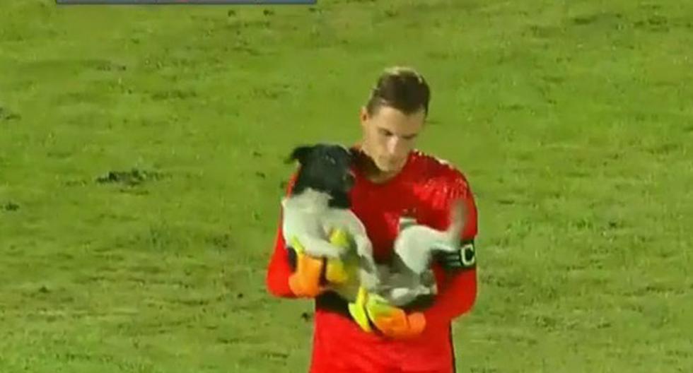 Un lindo perrito se metió al cancha mientras la Selección Peruana jugaba con Argentina en el Sudamericano Sub 17. (Foto: Captura)