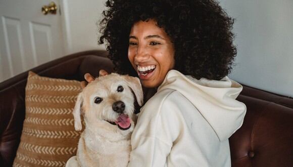El sofá, la alfombra o tu ropa suelen estar llenas de pelos cuando se tiene una mascota en casa. (Foto: Samson Katt / Pexels)