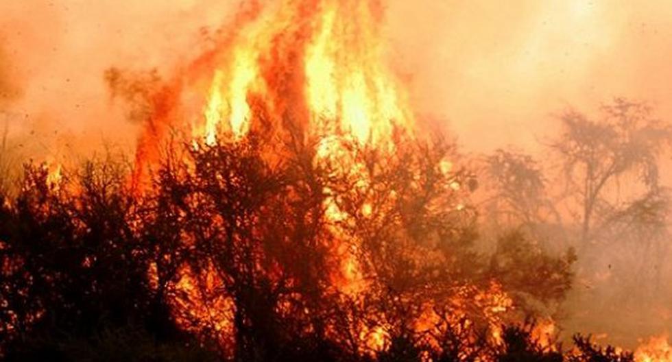 Informan que incendios arrasan 11.592 hectáreas. (Foto: Medios)
