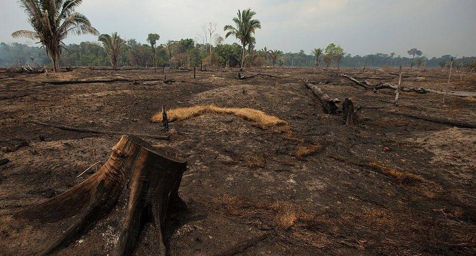 Vista de los daños producto del incendio en la selva amazónica este lunes, en Porto Velho. Brasil insiste en que la situación generada por los llamas en la Amazonía ha sido "exagerada" por "cuestiones políticas" . (Foto: EFE/Joédson Alves)