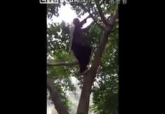 YouTube: abuela de 97 años trepa árbol con agilidad sorprendente | VIDEO