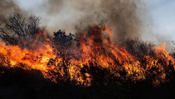 Entre julio y octubre en Córdoba se quemaron más de 2.000 kilómetros cuadrados de bosques. (Foto: GUILLERMO GALLIANO-FUNDACIÓN MIL AVES)