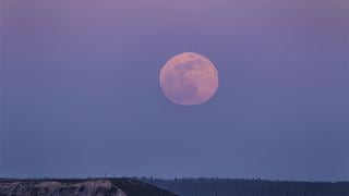 Superluna de fresa 2022: a qué hora y cómo ver el fenómeno hoy desde México, Argentina, Perú y otros países