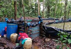 Pasco: hallan cinco toneladas de hoja de coca en comunidad nativa