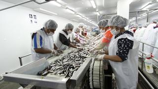 Pesca para consumo humano: Cae la demanda por productos en el mercado interno y en el exterior