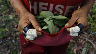 Cuando la vida en el Vraem depende de la coca [FOTOS]