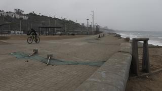 Gripe aviar en Perú: evaluarán el cierre de playas ante incremento de aves muertas en el litoral