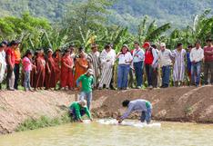 Junín: implementan 19 estanques piscícolas en el Vraem para producir peces tropicales