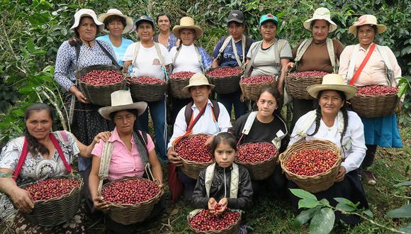 La marca Café femenino ha permitido que las mujeres tengan mayor participación en la toma de decisiones de sus comunidades. (Foto: Difusión)