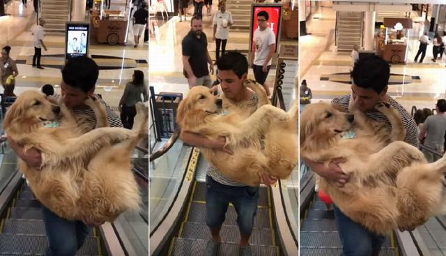 El perro fue llevado al segundo nivel de un centro comercial cargado 'como si fuera un bebé'. (YouTube: Viralhog)