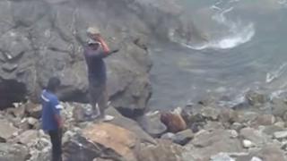 Lobo marino fue atacado con grandes rocas por dos sujetos