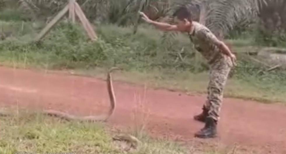 Se viralizó en Facebook el instante en que un soldado 'encara' a una peligrosa serpiente.  (Foto: Captura)