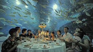 Cena bajo el mar: Turistas disfrutaron de esta comida en China