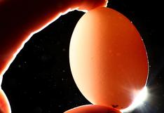 Desmienten mitos sobre el huevo: ¿La yema incrementa el colesterol?