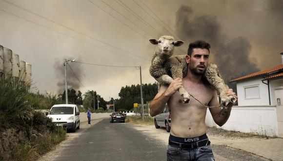 Un hombre lleva una oveja a la espalda durante el incendio en Boa Vista, Portugal, el 12 de julio de 2022. El incendio obligó a cerrar la carretera nr 1 en ambas direcciones. (Foto: EFE/EPA/PAULO CUNHA)