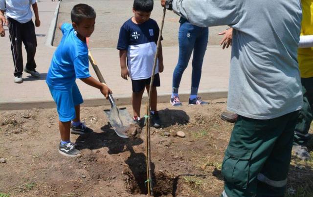 Este jueves comenzaron los trabajos en el Parque de la Niñez y de la Juventud, ubicado en Balconcillo. En este espacio se plantaron 75 árboles y se instalarán juegos infantiles. (Difusión)