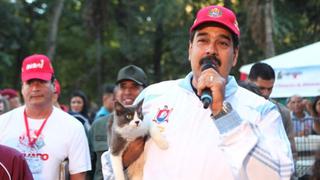 Venezuela: el socialismo también llega a los perros y gatos
