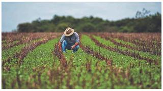 Segunda Reforma Agraria: Ejecutivo presentará al Congreso proyecto de ley el 9 de octubre