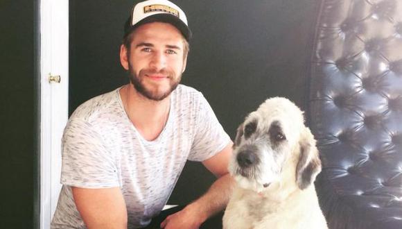Miley Cyrus ayudó a su ex, Liam Hemsworth, a adoptar un perro