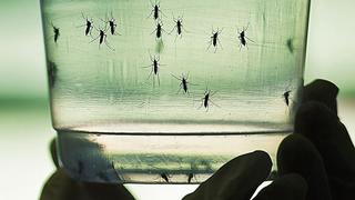 Tumbes pide ser declarada en emergencia ante riesgo del zika