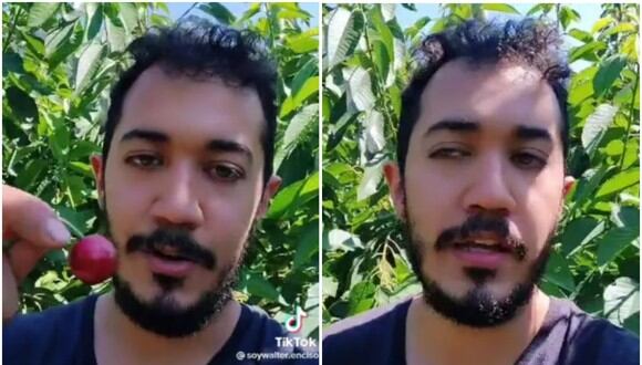 Un mexicano se vuelve viral al revelar lo que gana como recolector de cerezas en Canadá. (Foto: @soywalter.enciso)