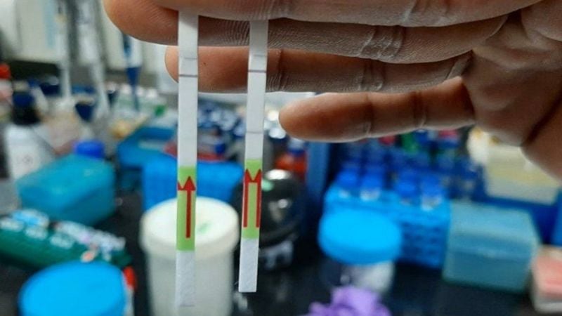 A consortium of 10 laboratories in India is sequencing coronavirus samples.
