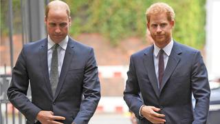 Revelan nuevos detalles de la pelea entre los príncipes Harry y William