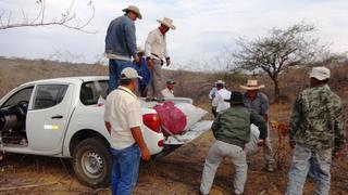 Recuperan cerca de una tonelada de carbón vegetal en Sullana