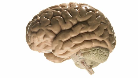 Los cerebros que se buscan es de personas que han sufrido enfermedades mentales o neurológicas.