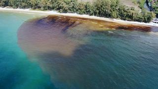 Tailandia: derrame de petróleo amenaza unos corales en la turística isla de Samet