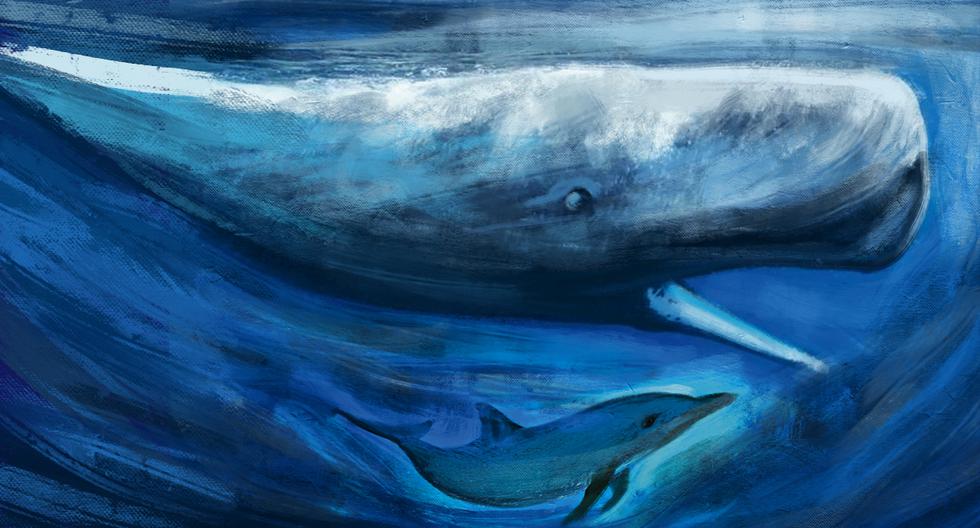 Los cetáceos y el hipopótamo tienen un antecesor común que vivió durante el Paleoceno y el Eoceno. La rama de la que desciende el hipopótamo conservó sus dedos pares; en las ballenas estos se convirtieron en aletas. (Ilustración: Víctor Aguilar)