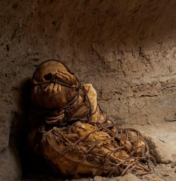 La momia fue hallada en posición fetal. (Foto: UNMSM)