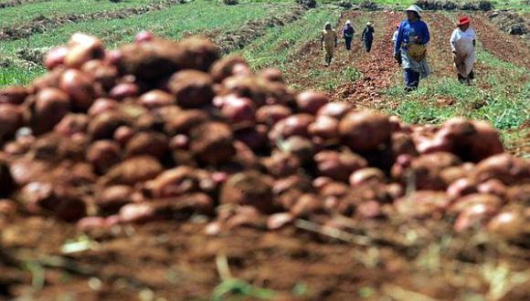 Descubriendo la agricultura, por Richard Webb