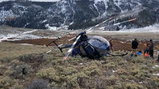 Utah: Un alce derriba a un helicóptero que intentaba capturarlo