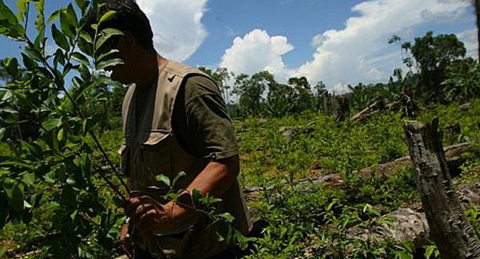 UE ayuda al Perú en la erradicación de hoja de coca. (Foto: peru21.pe)